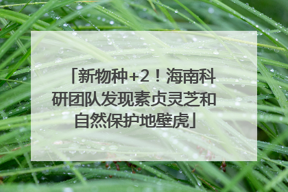 新物种+2！海南科研团队发现素贞灵芝和自然保护地壁虎