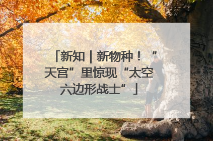 新知｜新物种！“天宫”里惊现“太空六边形战士”