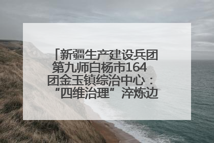 新疆生产建设兵团第九师白杨市164团金玉镇综治中心：“四维治理”淬炼边疆“枫桥样本”