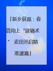 新乡获嘉：春管用上“读墒术” 麦田开启精准灌溉