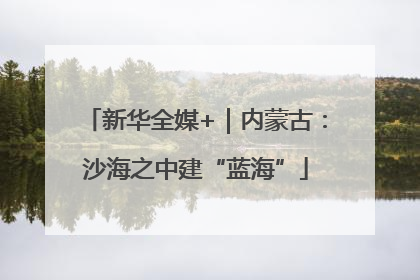 新华全媒+｜内蒙古：沙海之中建“蓝海”