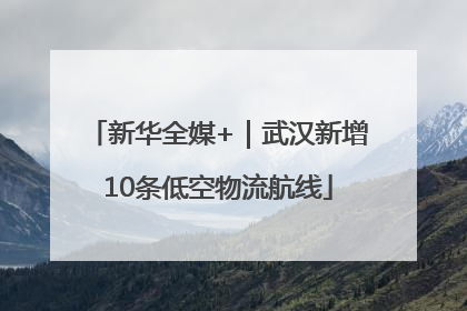 新华全媒+｜武汉新增10条低空物流航线