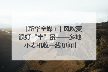 新华全媒+｜风吹麦浪好“丰”景——多地小麦机收一线见闻