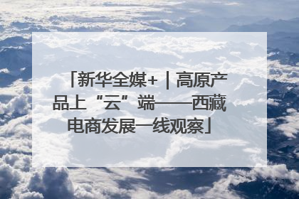 新华全媒+｜高原产品上“云”端——西藏电商发展一线观察