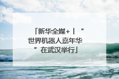 新华全媒+丨“世界机器人嘉年华”在武汉举行