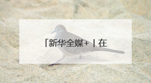 新华全媒+丨在大河村遗址博物馆寻溯仰韶文化