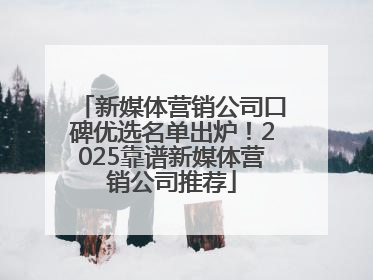新媒体营销公司口碑优选名单出炉！2025靠谱新媒体营销公司推荐