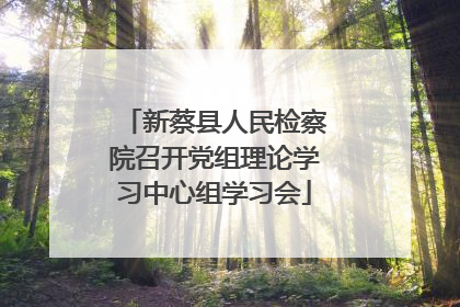 新蔡县人民检察院召开党组理论学习中心组学习会