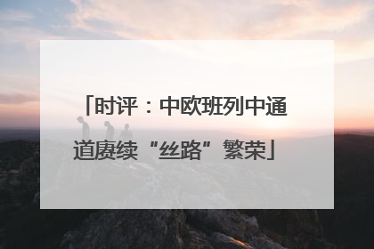 时评：中欧班列中通道赓续“丝路”繁荣