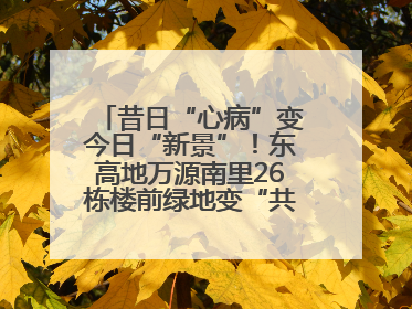 昔日“心病”变今日“新景”！东高地万源南里26栋楼前绿地变“共享花园”