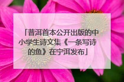 普洱首本公开出版的中小学生诗文集《一条写诗的鱼》在宁洱发布
