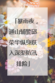 暴雨夜，通山辅警邱荣华纵身跃入深渠防汛排险