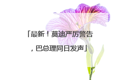 最新！莫迪严厉警告，巴总理同日发声