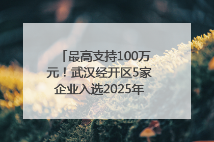 最高支持100万元！武汉经开区5家企业入选2025年度武汉市重点研发计划拟立项项目名单