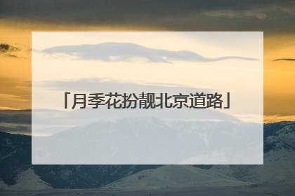 月季花扮靓北京道路
