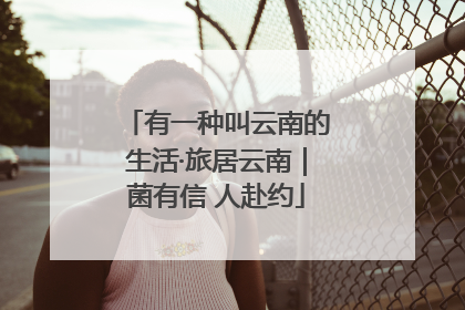 有一种叫云南的生活·旅居云南｜菌有信 人赴约