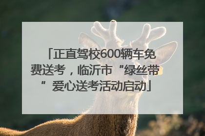 正直驾校600辆车免费送考，临沂市“绿丝带”爱心送考活动启动