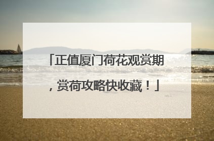 正值厦门荷花观赏期，赏荷攻略快收藏！