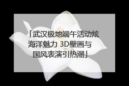 武汉极地端午活动炫海洋魅力 3D壁画与国风表演引热潮
