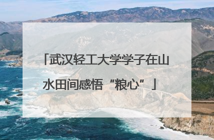 武汉轻工大学学子在山水田间感悟“粮心”