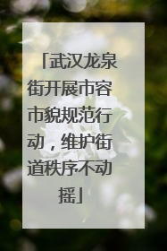 武汉龙泉街开展市容市貌规范行动，维护街道秩序不动摇