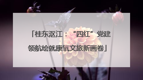 桂东沤江：“四红”党建领航绘就康氧文旅新画卷