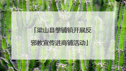 梁山县拳铺镇开展反邪教宣传进商铺活动