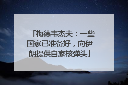 梅德韦杰夫：一些国家已准备好，向伊朗提供自家核弹头