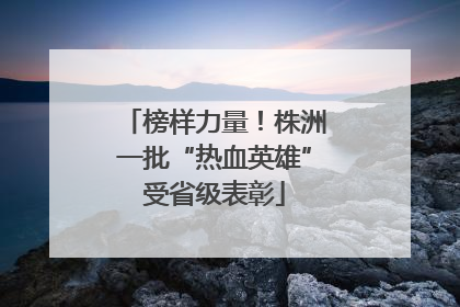 榜样力量！株洲一批“热血英雄”受省级表彰