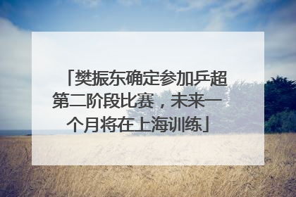 樊振东确定参加乒超第二阶段比赛，未来一个月将在上海训练