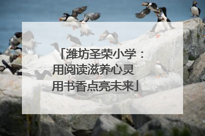 潍坊圣荣小学：用阅读滋养心灵 用书香点亮未来