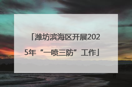 潍坊滨海区开展2025年“一喷三防”工作