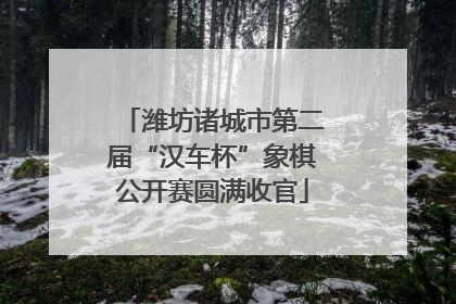 潍坊诸城市第二届“汉车杯”象棋公开赛圆满收官