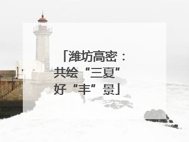 潍坊高密：共绘“三夏”好“丰”景
