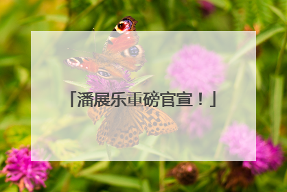 潘展乐重磅官宣！