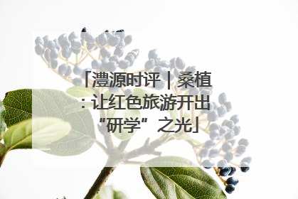 澧源时评｜桑植：让红色旅游开出“研学”之光
