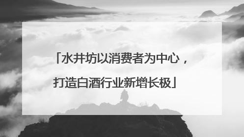 水井坊以消费者为中心，打造白酒行业新增长极