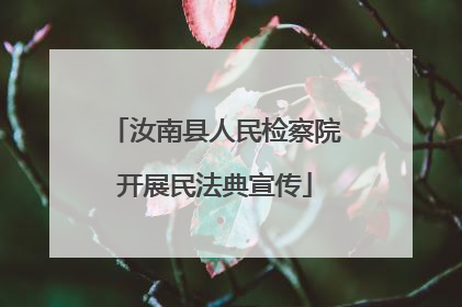 汝南县人民检察院开展民法典宣传