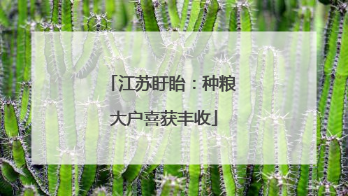 江苏盱眙：种粮大户喜获丰收