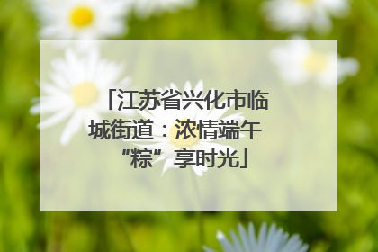 江苏省兴化市临城街道：浓情端午 “粽”享时光
