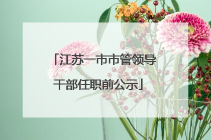 江苏一市市管领导干部任职前公示