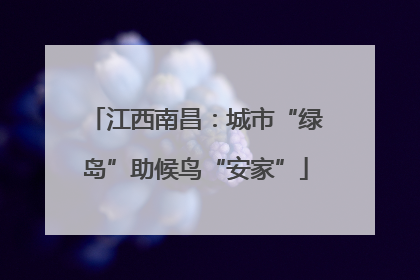 江西南昌：城市“绿岛”助候鸟“安家”