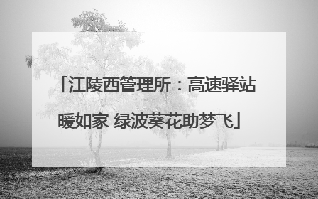 江陵西管理所：高速驿站暖如家 绿波葵花助梦飞