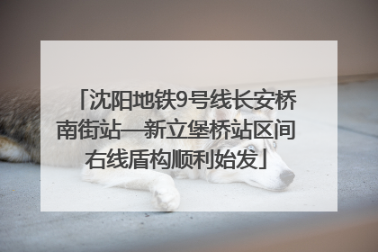 沈阳地铁9号线长安桥南街站—新立堡桥站区间右线盾构顺利始发