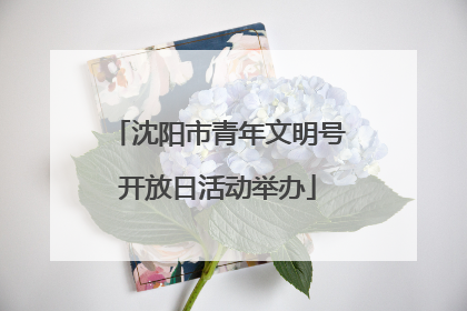 沈阳市青年文明号开放日活动举办