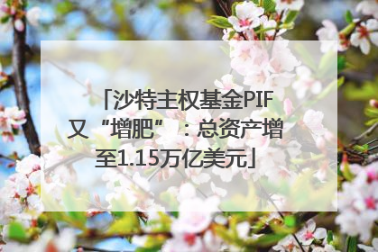 沙特主权基金PIF又“增肥”：总资产增至1.15万亿美元