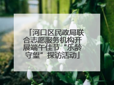 河口区民政局联合志愿服务机构开展端午佳节“乐龄守望”探访活动