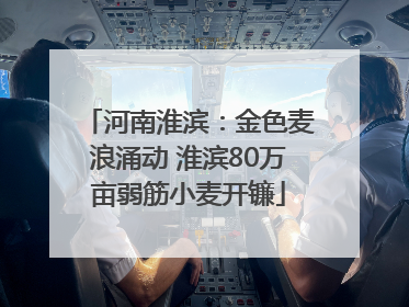 河南淮滨：金色麦浪涌动 淮滨80万亩弱筋小麦开镰