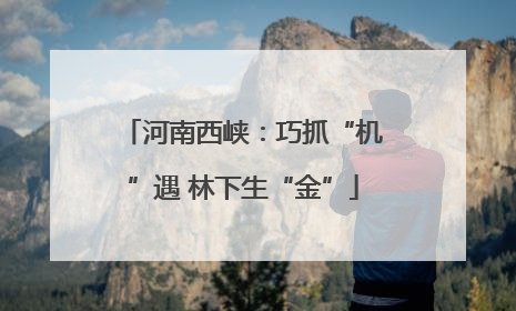 河南西峡：巧抓“机”遇 林下生“金”