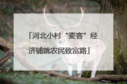 河北小村“麦客”经济铺就农民致富路